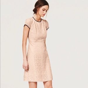 LOFT lace dress